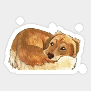 Golden Retriever Sticker